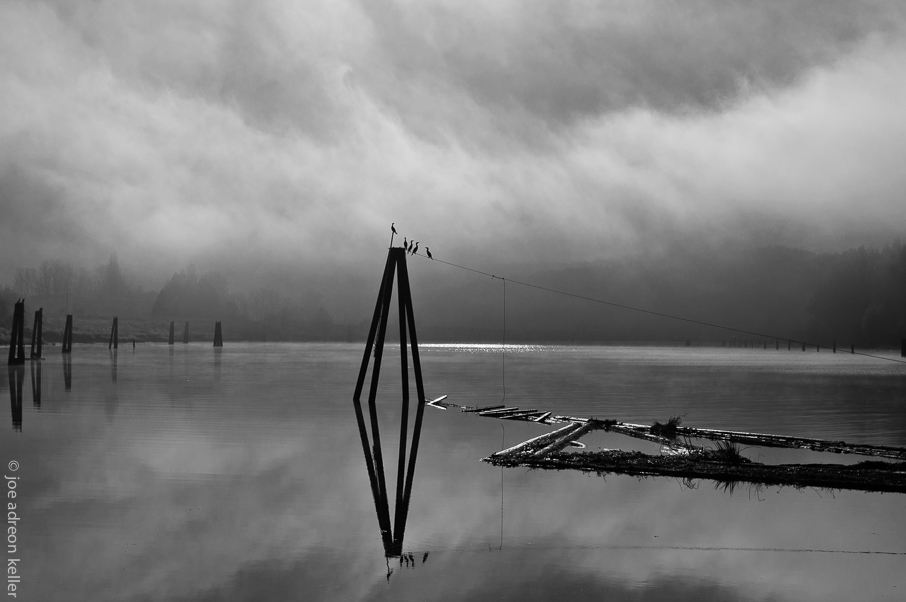 J O E   A D R E O N   K E L L E R                                     